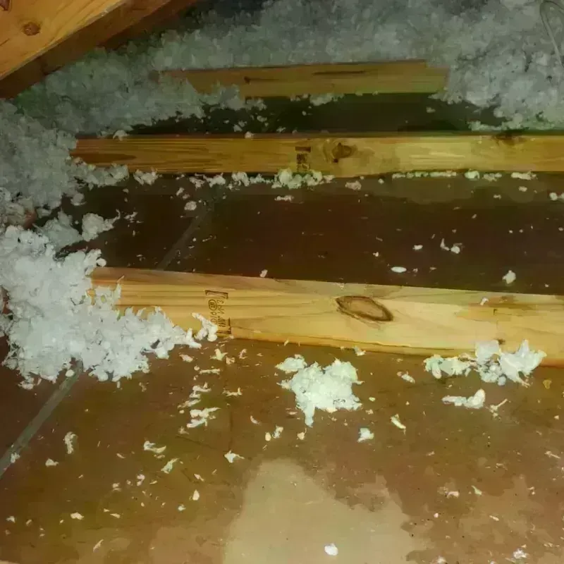 Attic Water Damage in La Vista, NE